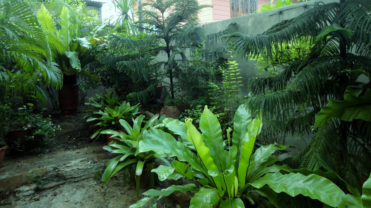 Moradok Thai Guesthouse Ayutthaya Eksteriør bilde